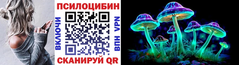 Псилоцибиновые грибы Cubensis  Мглин 